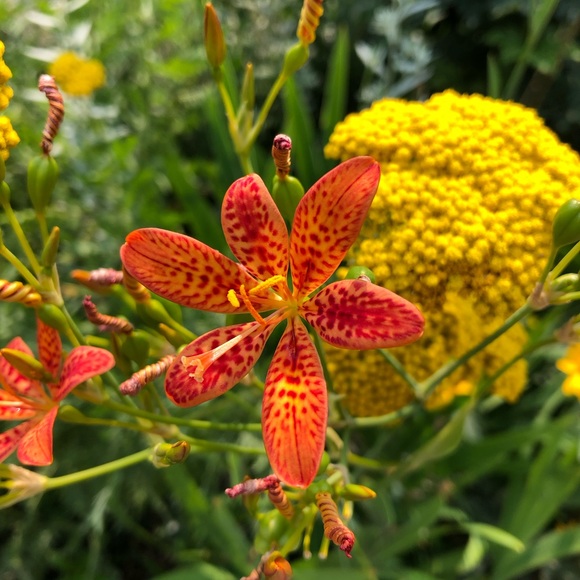 Meet your Posher, Jenni - Picture 9 of 13